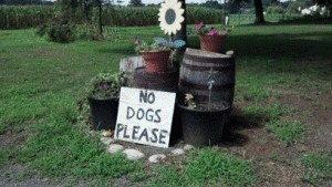no dogs please