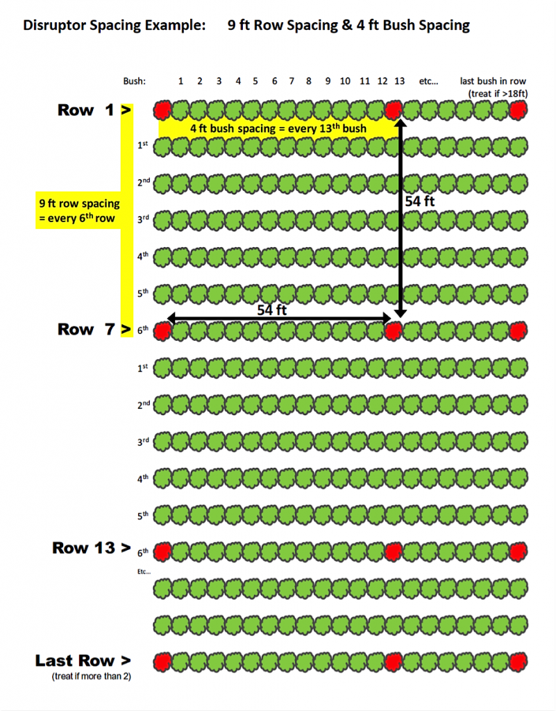 Disruptor Spacing Example