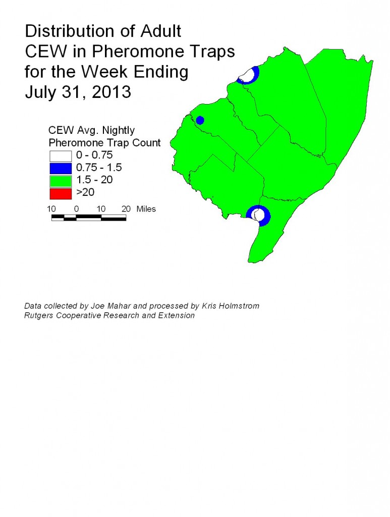 Corn Earworm Pheromone Trap Map 7/31/13 — Plant & Pest Advisory