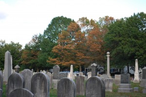 Last legs of a BLS infected tree. Note the subtle symptoms on the surrounding trees. Photo: Richard Buckley, Rutgers PDL