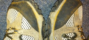 Rust spores all over my shoes. Photo: Richard Buckley, Rutgers PDL