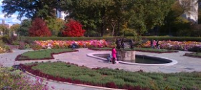 A very colorful display of Korean mums in the Conservatory Garden at Central Park.