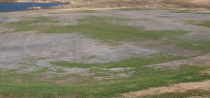 Ice damage to putting green. Photo: Seth Orr, Osprey Meadows Golf Course at the Tamarack Resort.