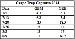 Grape Trap