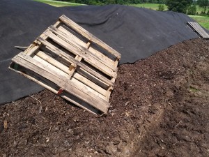 Compost