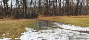Turf-Winter-Thaw