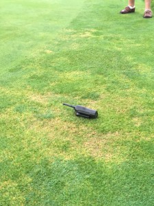 Summer patch underneath the ABW damage. Photo: anonymous.