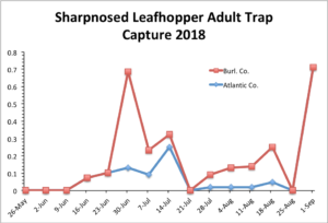 Sharpnosed Leafhopper Adult Trap Catch Record