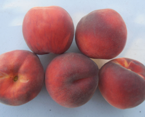 Evelynn peaches