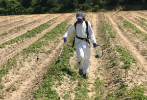 Spraying for pests in a field