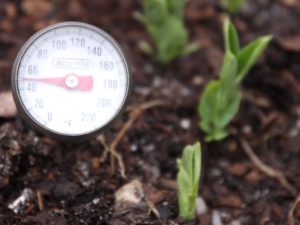 Temperature gauge for soil
