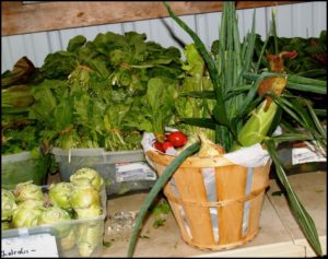 Vegetable basket