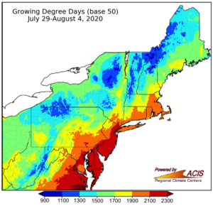 Growth by date