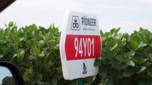 Sign denoting GMOs