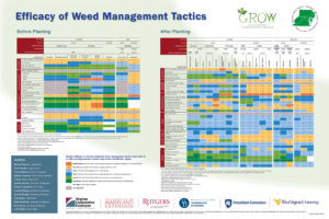 Efficacy of Weed Management Tactics