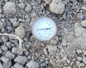 Early morning soil temperature