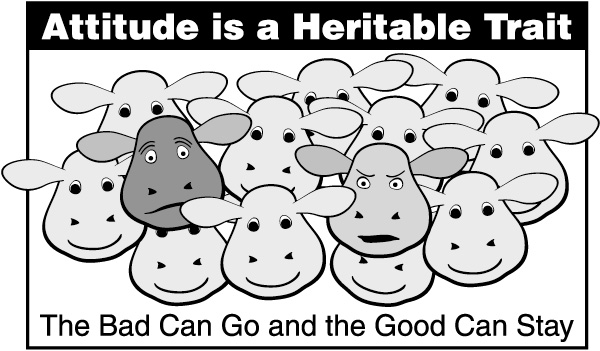 Attitude is a heritable trait