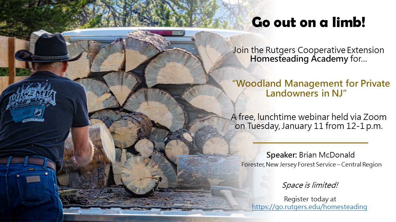 Woodland Management for Private Landowners in NJ