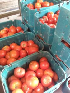 Baskets of tomatoes