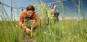 Two people conducting research in a field