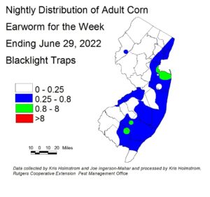 Nightly distribution of adult corn earworm using blacklight traps