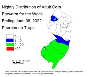 Nightly distribution of adult corn earworm using pheromone traps