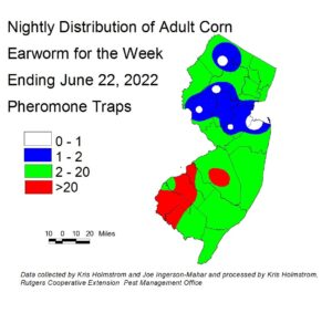 Nightly distribution of adult corn earworm using pheromone traps