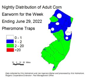 Nightly distribution of adult corn earworm using pheromone traps