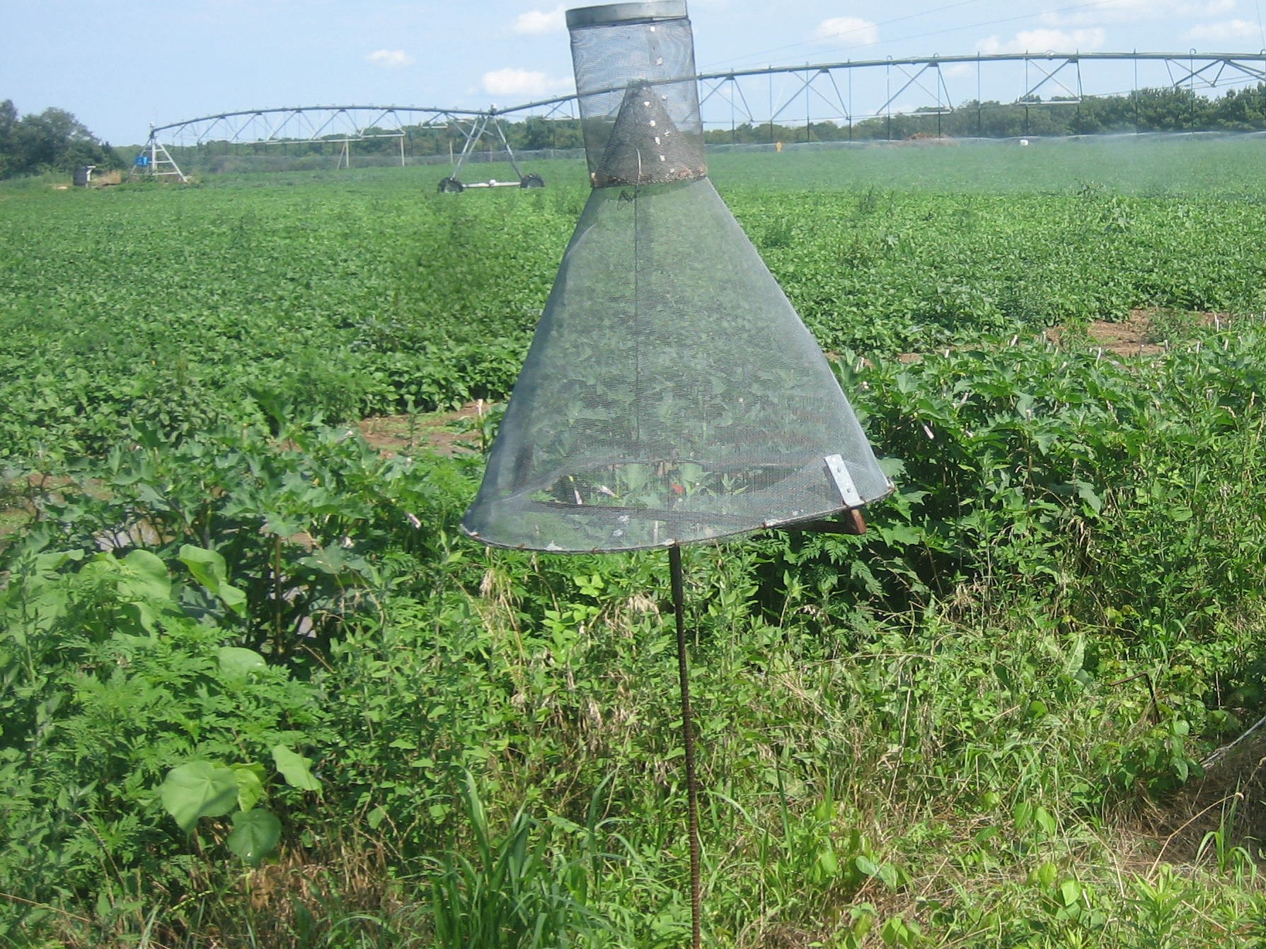 Temporary Seasonal help needed for the Rutgers Vegetable IPM Program