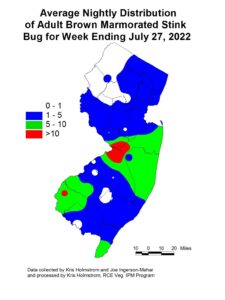 Average nightly distribution of Brown Marmorated Stink Bug