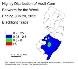 Nightly distribution of adult corn earworm using blacklight traps