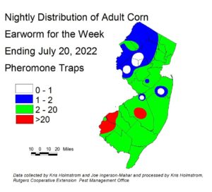 Nightly distribution of adult corn earworm using pheromone traps