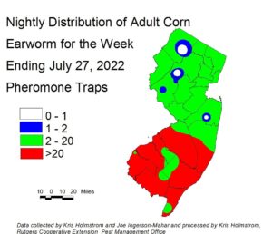 Nightly distribution of adult corn earworm using pheromone traps