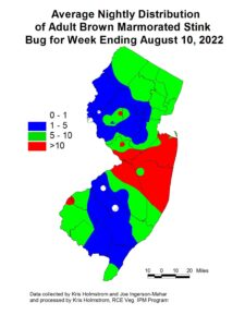 Average nightly distribution of Brown Marmorated Stink Bug