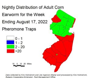 Nightly distribution of adult corn earworm using pheromone traps