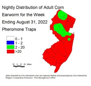 Nightly distribution of adult corn earworm using pheromone traps