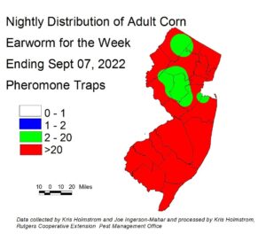 Nightly distribution of adult corn earworm using pheromone traps