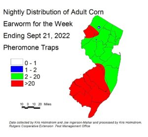 Nightly distribution of adult corn earworm using pheromone traps