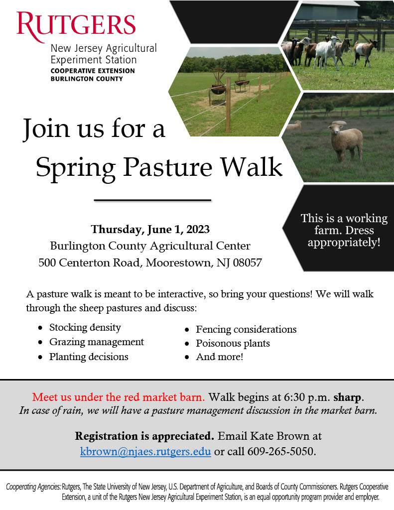 flyer for spring pasture walk