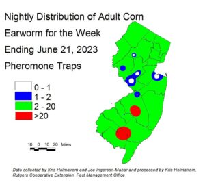 Distribution of Adult Corn Earworm in New Jersey