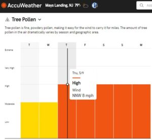 Accuweather Tree Pollen Forecast graph 05082024