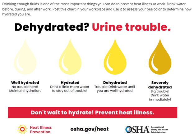 Infographic with different colored teardrops that indicate how urine color corresponds to personal hydration