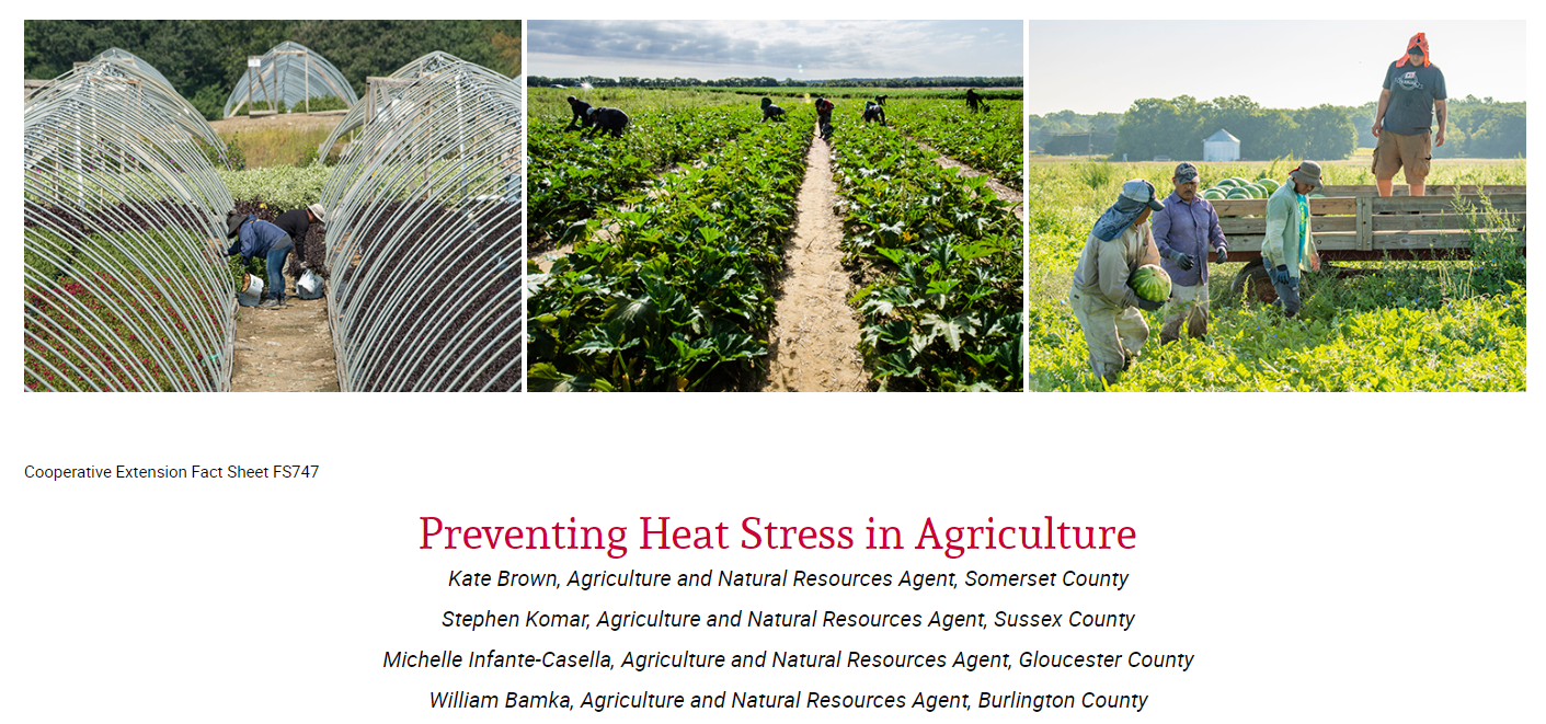 Screenshot of the heading of a factsheet titled Preventing Heat Stress in Agriculture