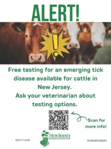 One-page flyer to alert NJ cattle producers of the free tick testing that is being offered through NJDA. Also has a QR code which directs to the link for a Theileria orientalis Producer Handout.