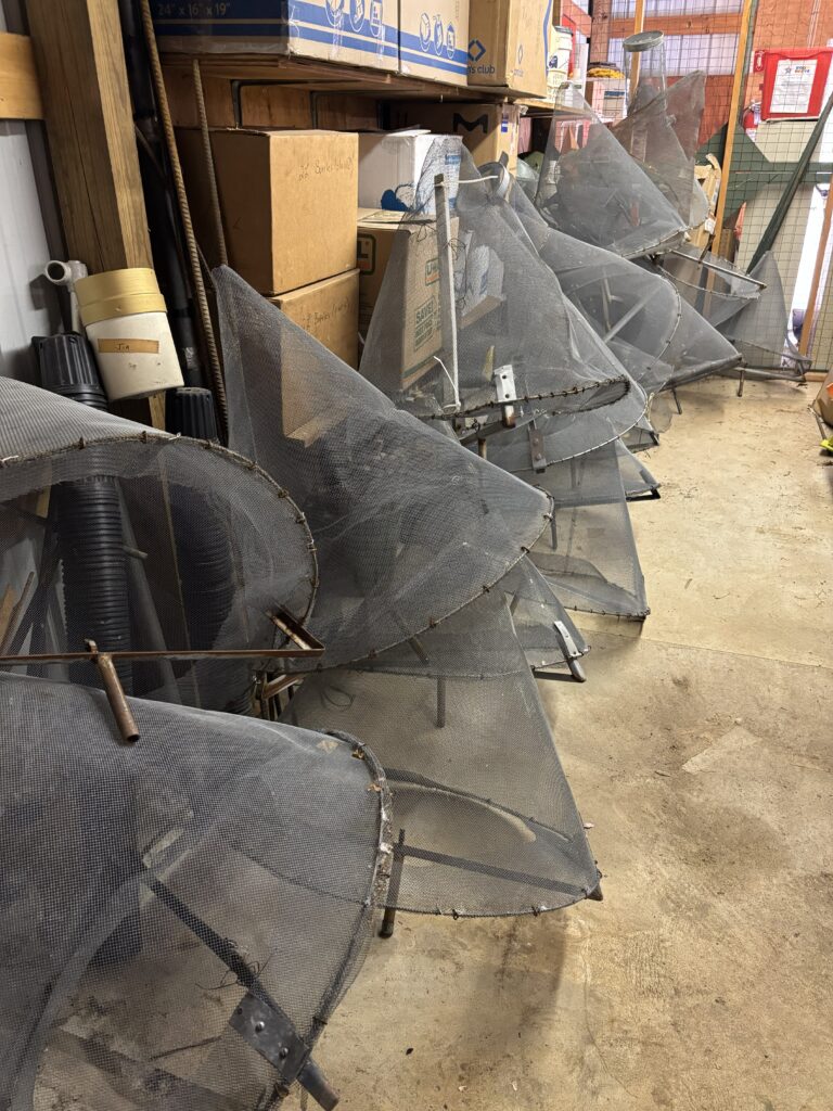Stacks of conical wire mesh traps on a concrete floor