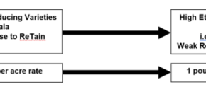 Variety response to ReTain and rate.
