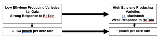 Variety response to ReTain and rate.